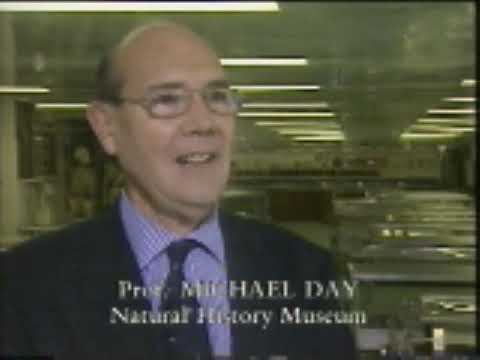 ITV Strange But True - Ghost Planes of the Peaks Documentary 1996