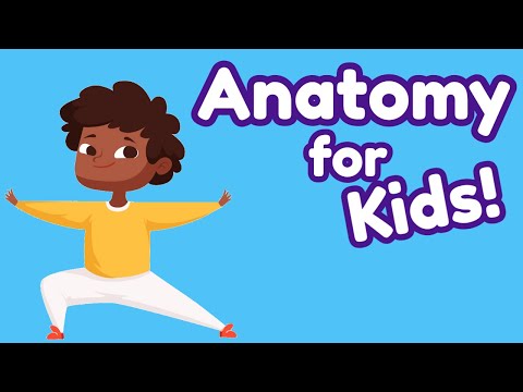 Human Anatomy for Kids: The Brain, Heart, Eyes & Nose!