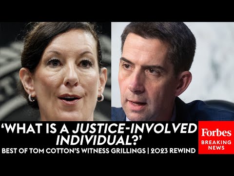 'So, A Criminal?': Tom Cotton Brutally Grills Top Biden Officials | 2023 Rewind
