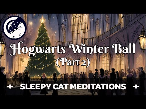 'The Wizard's Winter Ball' (Part 2 of 2) Guided Sleep Story inspired by Harry Potter