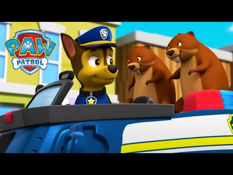 動物救援！- PAW Patrol 汪汪隊立大功 - 兒童卡通