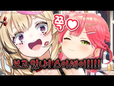 Polka intervenes between Mikomet [Sakura Miko] [Hoshimachi Suisei] [Omaru Polka] [Holo Live]