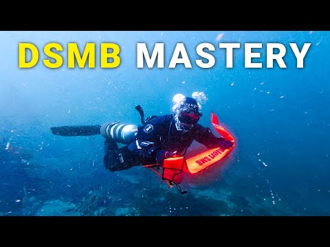 This Simple Dive Skill Could Save Your Life!