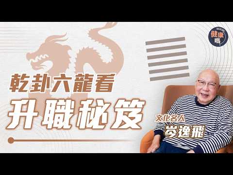 從《易經》乾卦看升職加薪之道 ｜跳槽講求個人實力 急流勇退更顯智慧｜山今老人:上位不能只做獨行俠｜健康嗎@HealthCodeHK【自療淨院】#fengshui #career #workplace