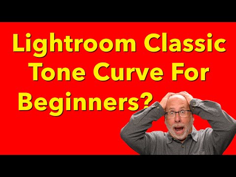 Tone Curve for Lightroom Classic For Beginners? No Way!