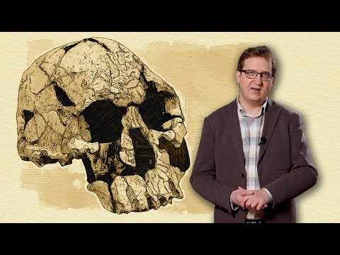 Kim byli pierwsi ludzie? Historia Homo habilis, H. rudolfiensis i A. sediba | Nasi przodkowie #10