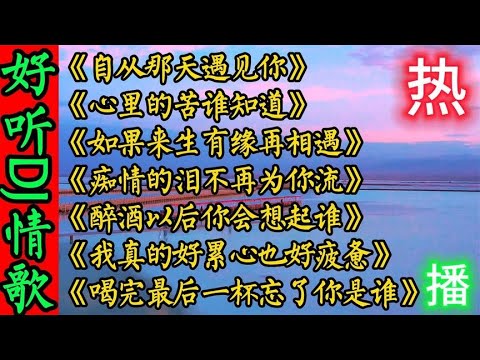 七首超好听伤感DJ情歌《自从那天遇见你》《如果来生有缘再相遇》