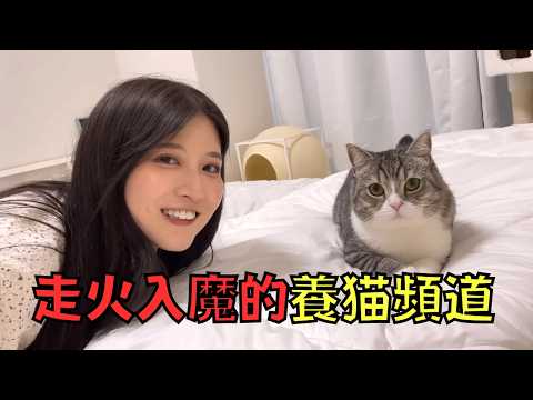 Youtuber憑貓咪年賺千萬,卻被揭為流量不擇手段!?|叉雞