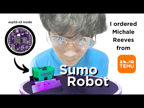 When Temu Michael Reeves builds a sumo robot: