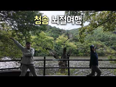 '뇌 빼고 보기 좋습니다' 국내 풍경 명소 청송! '9km' 트래킹 내륙 화산 협곡 트레킹 유네스코 지질공원 93 부부