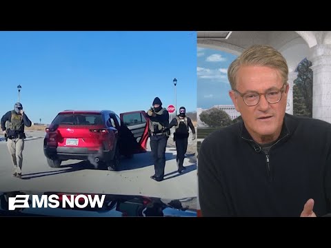 ‘LOOK AT THESE THUGS’: Joe slams ‘paramilitary’ ICE for drawing guns on Minnesota woman