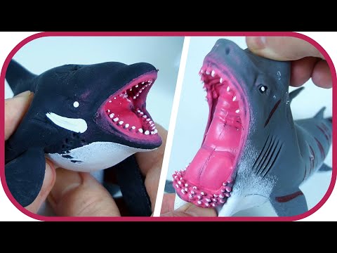 🎁 SEA PREDATORS. Shark, killer whale, barracuda, manta ray.