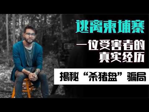 逃亡柬埔寨，一位受害者的真实经历，揭秘“杀猪盘”背后诈骗公司 | X档案员