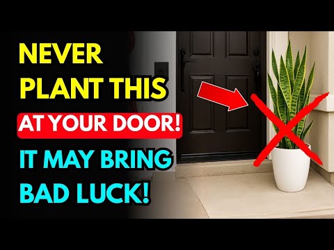 Don't Plant a Snake Plant in Front of Your House — It Blocks Wealth and Attracts Bad Luck WARNING!!!