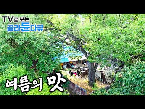 기다렸다! 물놀이 후 먹는 시원한 비빔국수 한그릇🏝️ 더위를 이기는 여름의 맛 한시간 몰아보기🏝️｜한국기행｜#tv로보는골라듄다큐