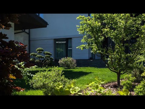 Обзор сада за 30 млн руб!!!! 35 соток! Москва. Новая Рига. Ландшафтная компания "Челси Гарден".