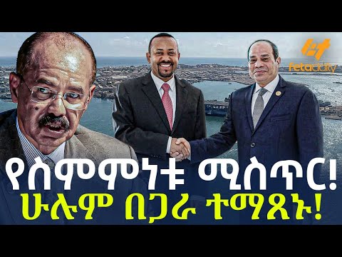 Ethiopia - የስምምነቱ ሚስጥር!  ሁሉም በጋራ ተማጸኑ!