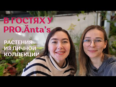 Обзор РАСТЕНИЙ из ЛИЧНОЙ КОЛЛЕКЦИИ | Закрытые теплицы PRO.Änta's🌿