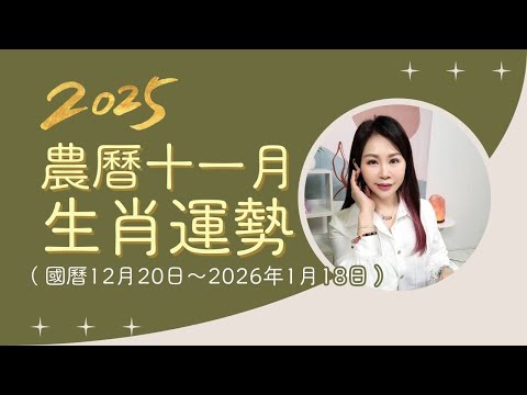2025乙巳蛇年｜農曆十一月生肖運勢 (12/20-2026/1/18)｜12生肖每月運勢｜雨揚樂活家族