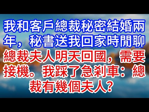 【完結】我和客戶總裁秘密結婚兩年，秘書送我回家時閒聊：總裁夫人明天回國，需要接機。我踩了急剎車：總裁有幾個夫人？#為人處世 #生活經驗 #情感故事 #故事 #小說 #戀愛 #情感 #婚姻