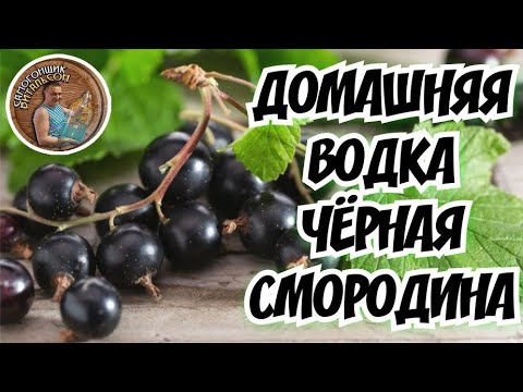 Домашняя водка "ЧЁРНАЯ СМОРОДИНА"  на медных тарелках DomSpirt 2 / Мацерат из чёрной смородины.