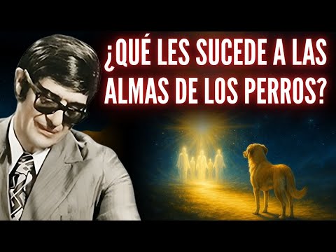 El Misterio de los Primeros Días del Alma de los Perros Después de la Muerte | Chico Xavier