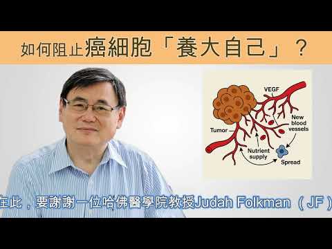 如何阻止癌細胞「養大自己」？你一定要知道的機制！｜顧小培博士文章分享