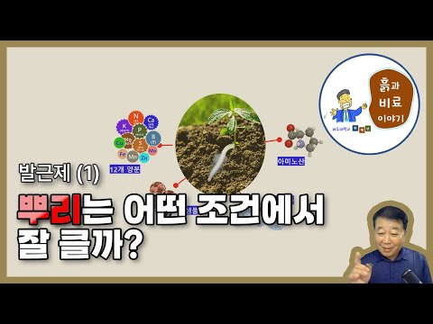 뿌리 성장에 필요한 양분 균형, 미생물, 대사물질, 아미노산 - 발근제(1)