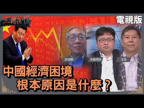 中國經濟困境的根本原因是什麼？｜#許成鋼 #矢板明夫 #汪浩｜@華視三國演議｜20230910