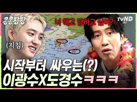 [#콩콩팡팡] 이제는 안 싸우면 괜히 서운함ㅠㅠㅋㅋ 눈만 마주치면 싸우는 톰과 제리 현실판 광수💔경수