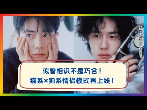 原来不是巧合，是早就对上频道了 😭🐱🐶