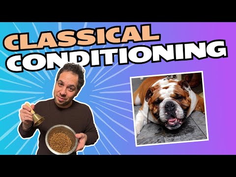 Classical (Pavlovian) Conditioning