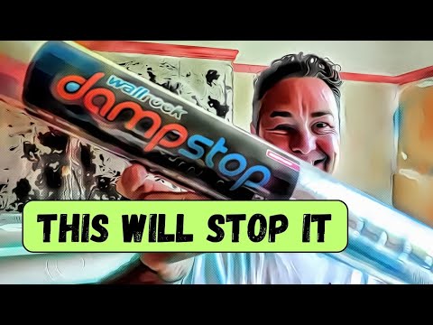 WallRock DampStop: The Ultimate Solution for Damp and Staining Walls