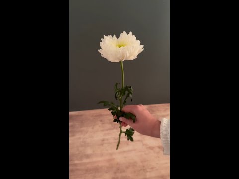 Building a Holiday Bouquet