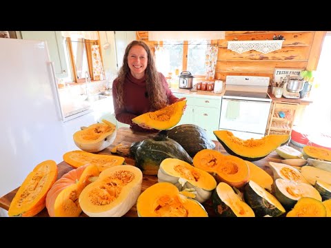 I Taste-Tested 19 Squash & Pumpkin Varieties — Here’s What I’ll Grow Again!