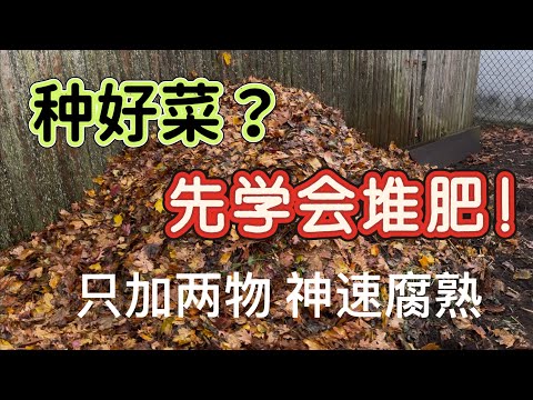 想种好菜，必须先学会堆肥￼。只加两物，神速啊