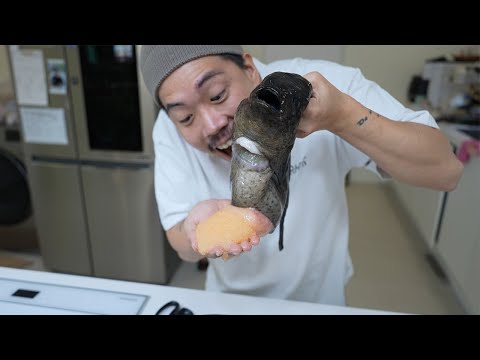 몸이 알로 가득 찬 녀석을 잡아서 먹어보겠습니다