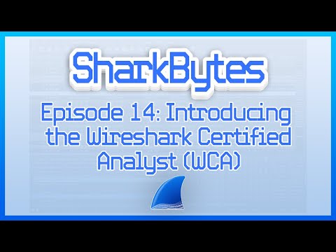 Introducing the Wireshark Certified Analyst Certification (WCA)
