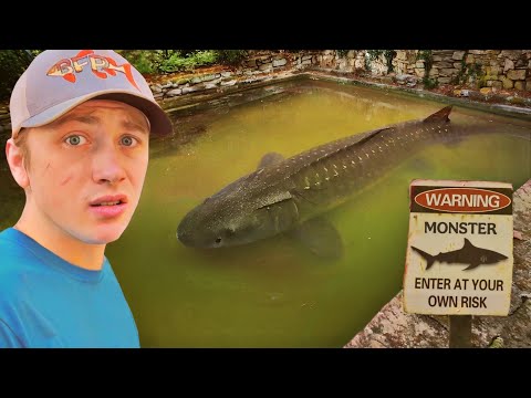 I Found an Abandoned Pool FILLED with Monster Fish!