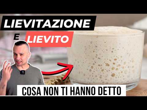 Dough Rising: How Much Yeast in Dough? (Baking Basics)