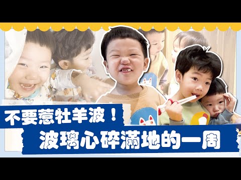 【波能週記#2】不要惹牡羊波！波璃心碎滿地的一個禮拜！