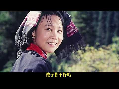 一部被遗忘的冷门佳作《爬满青藤的木屋》 #影视经典补完计划 #冷门高分电影 #怀旧经典