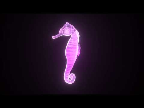 2 Hours 4K Futuristic 3D Neon Seahorse Hologram Loop I Screensaver for Meditation
