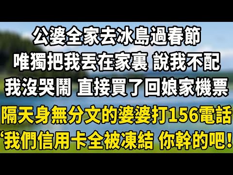 公婆全家去冰島過春節，唯獨把我丟在家裏 說我不配，我沒哭鬧 直接買了去娘家的機票，隔天身無分文的婆婆打來156電話“我們信用卡全被凍結 你幹的吧！”#養老生活 #情感 #中老年故事