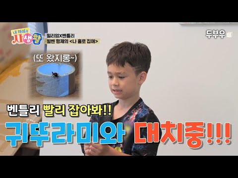 My Child's Private Life Episode 10 (Part 2): Bentley, catch him! William is startled by the sudde...