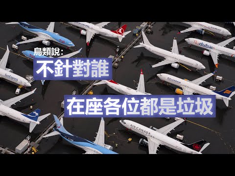 鳥類說：人類飛機的設計 從開始就走錯路了 仿生學是未來飛機的最終形態 | 1K圖解