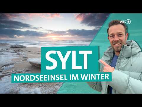 Sylt in winter: North Sea, mudflats, and gray seals