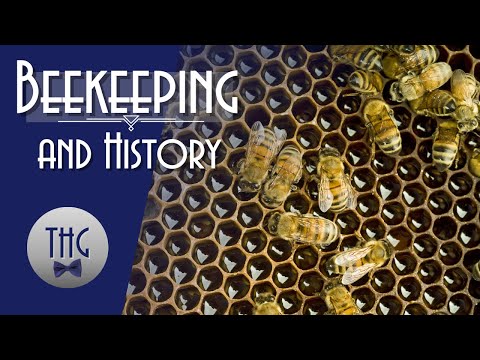 A Short History of Beekeeping