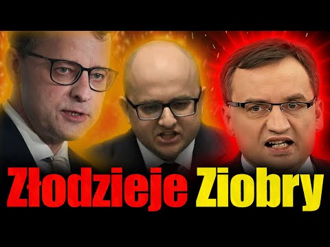 Złodzieje Ziobry. Tomasz Szwejgiert, Jan Piński