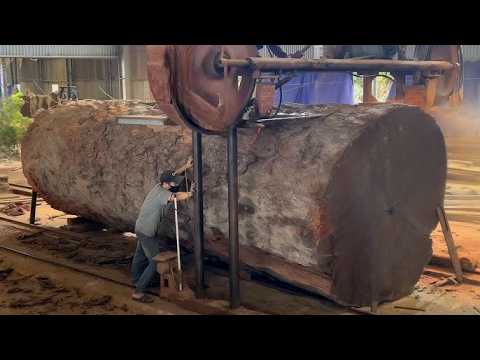Sawmill WORKING HARD to Cut Heavy Logs to Lumber! How Sawmill Machines Operate from Start to Finish